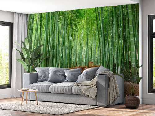 Trappe mellem bambusplanter