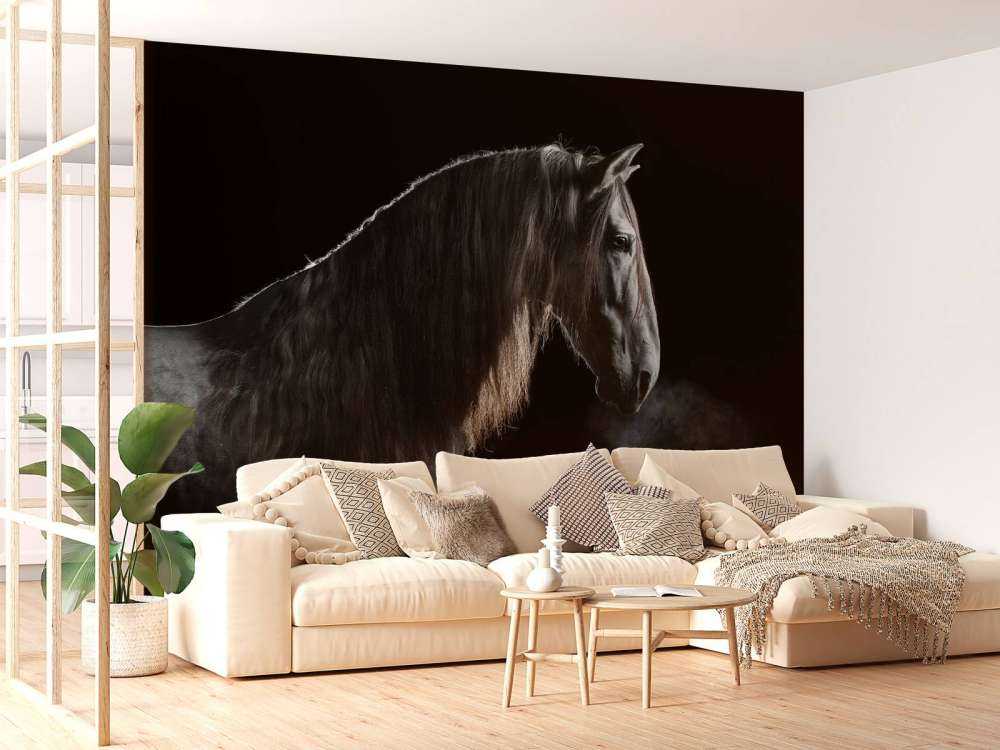 Skimmel med sort tapet