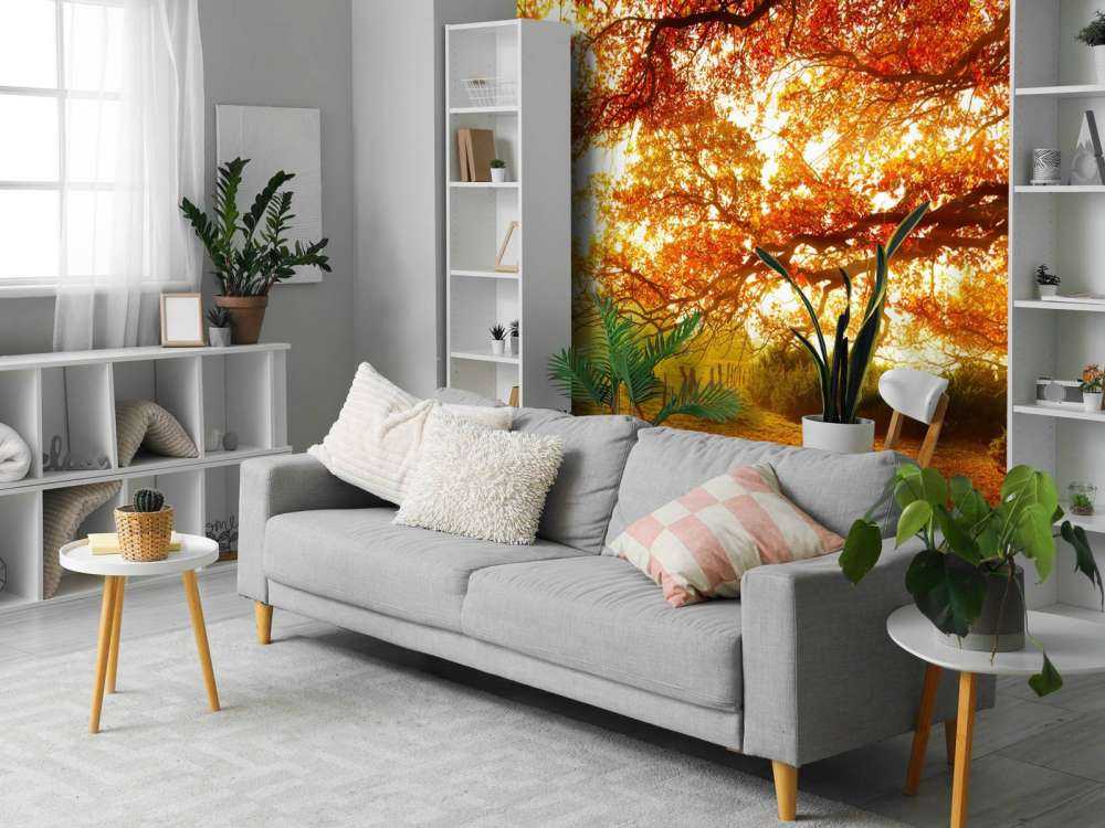 Efterår landskab med skov og eng