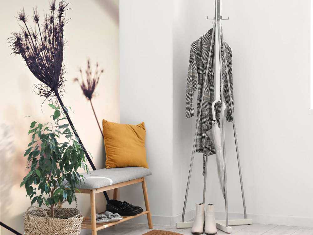 Silhuetter af planter