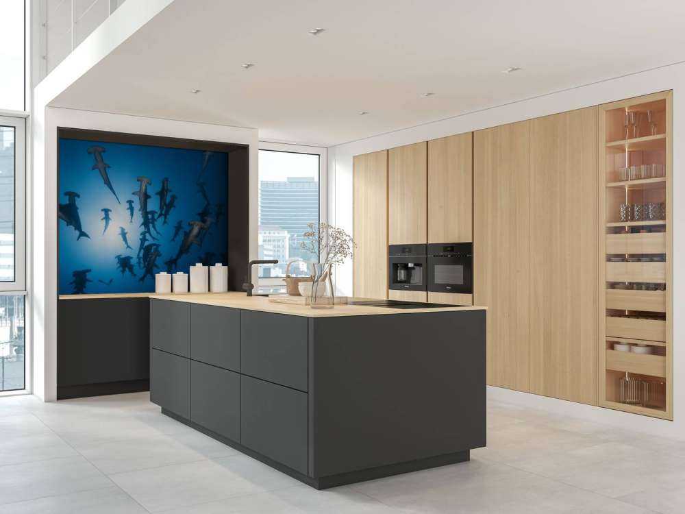 Hammerhead Shark - undervandsfotografering