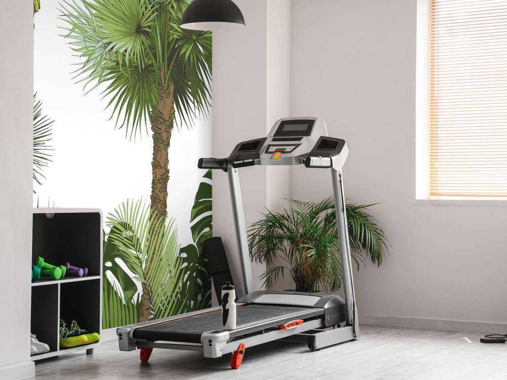 Grønne tropiske planter