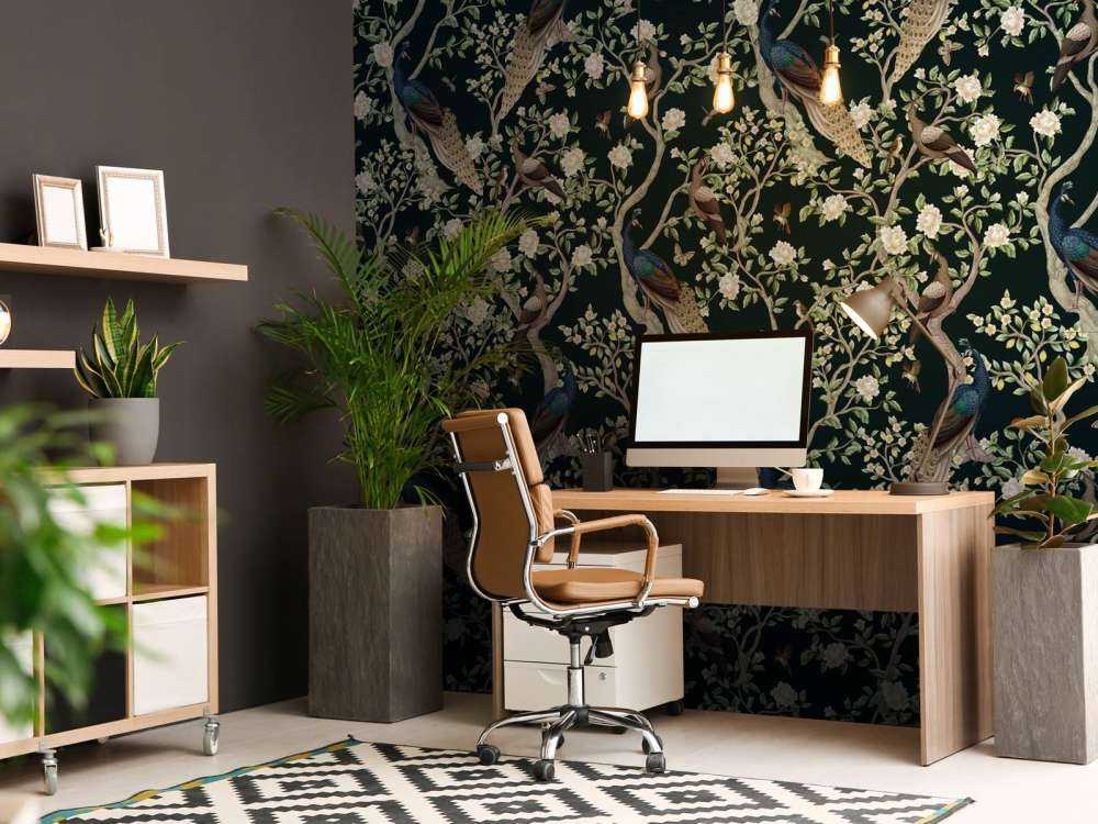 Påfuglekrone Blomsterhave