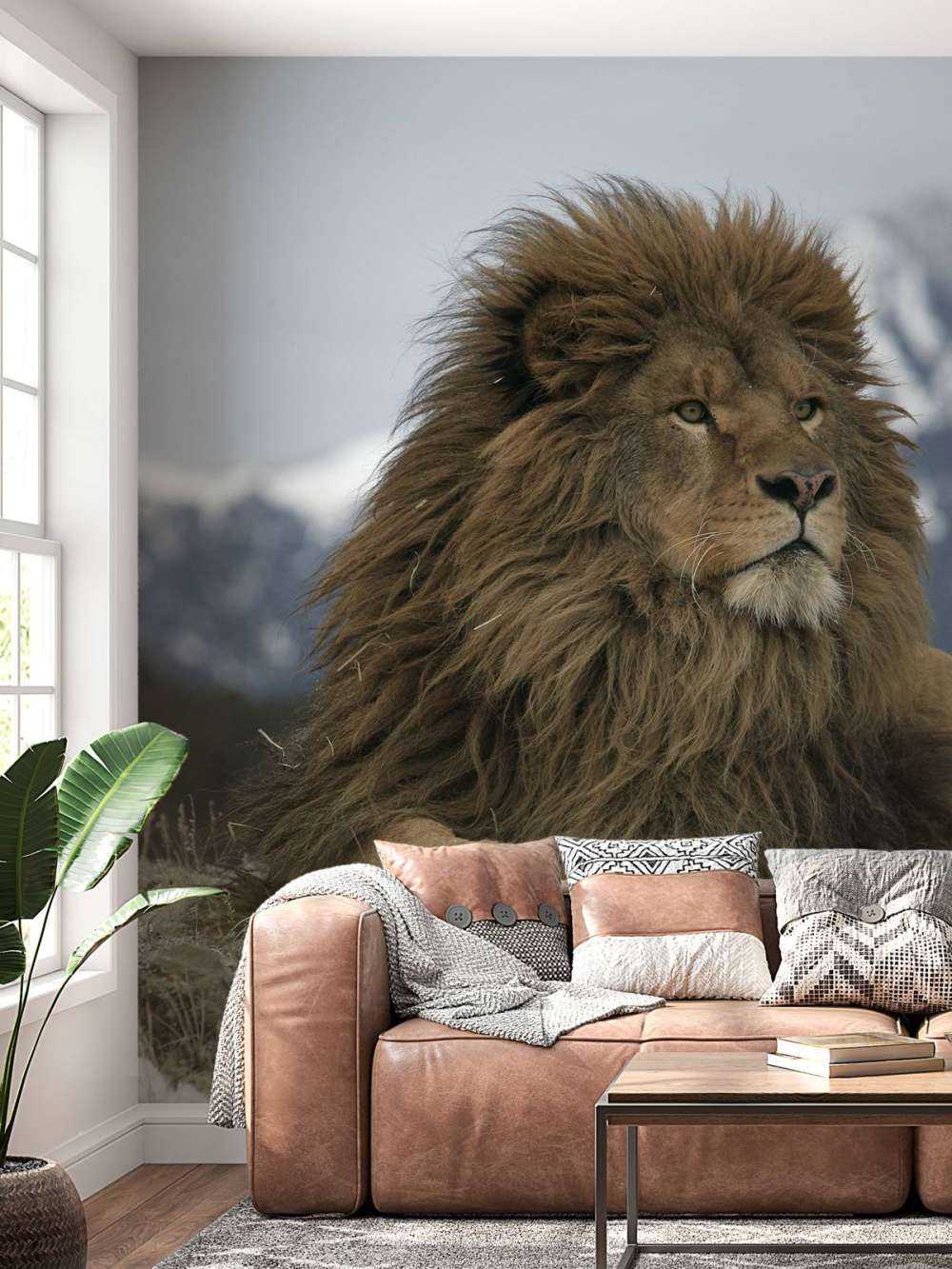 Barbary lejon