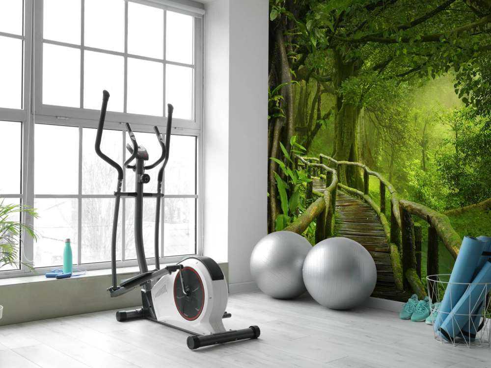 Träbro till och med en grön djungel