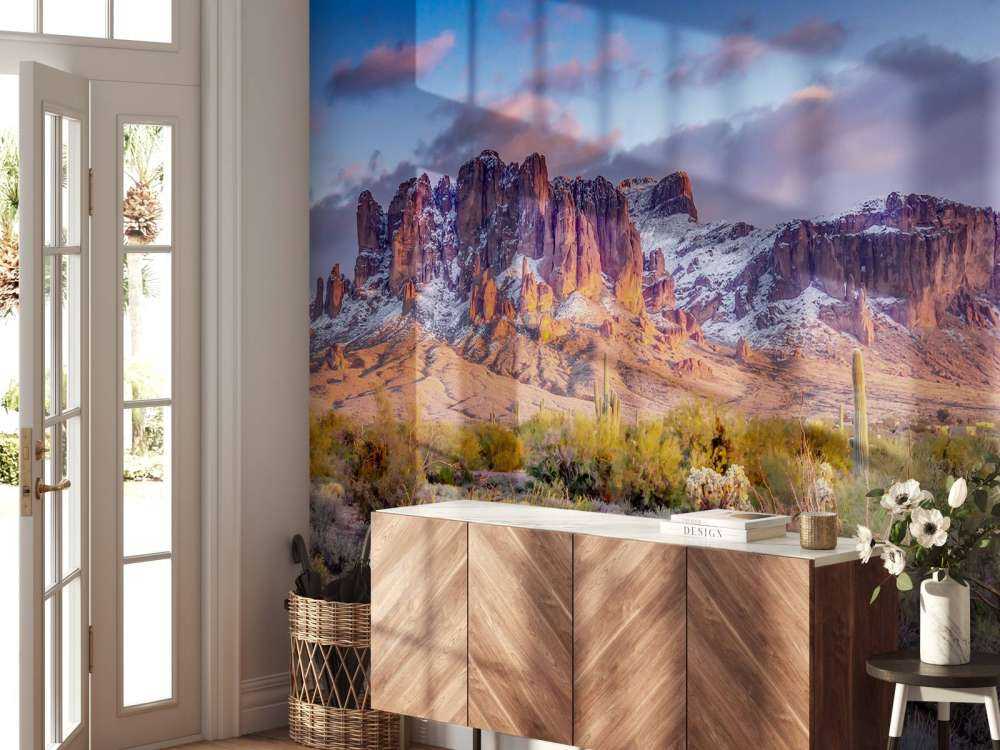 Kaktus i ett berglandskap