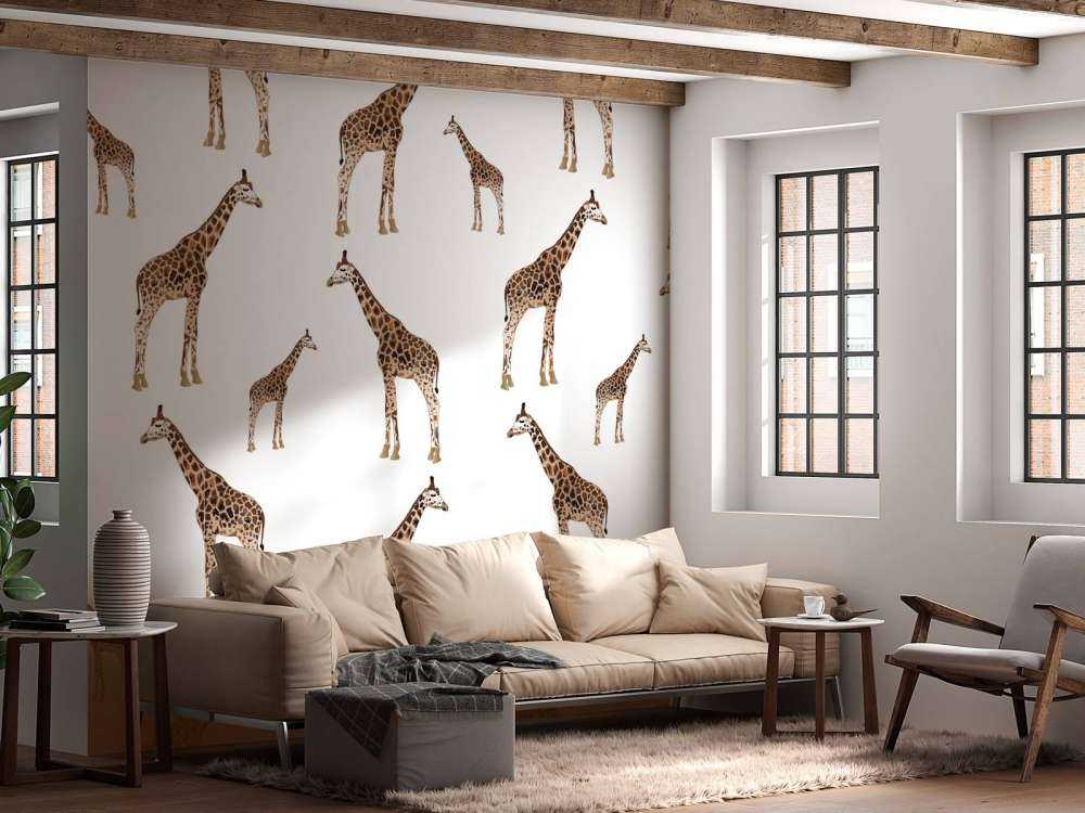 Giraffer
