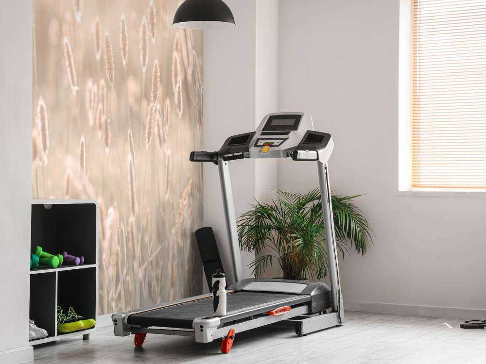 Ängen i solnedgången