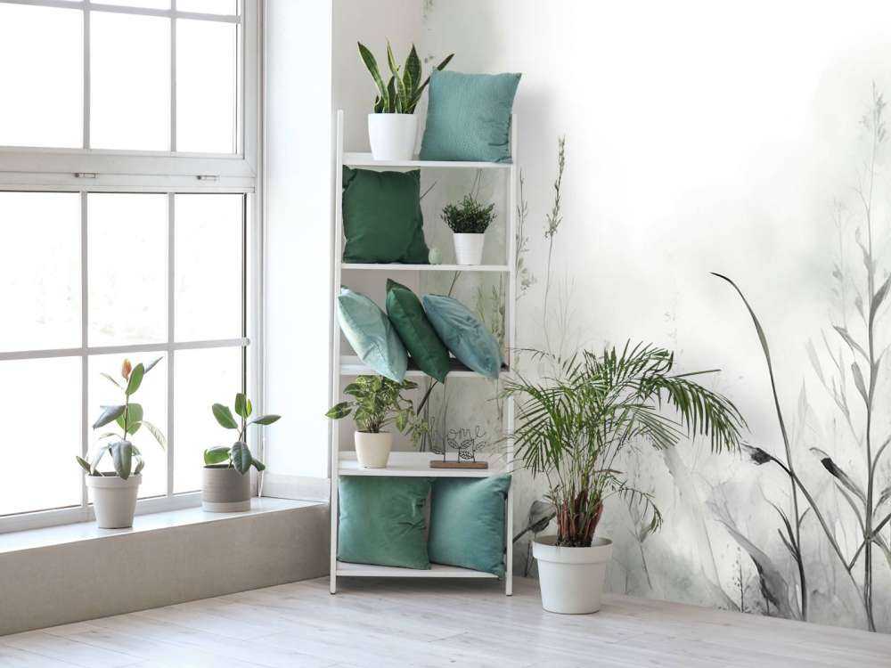 Morgon Tystnad Dimmig Vit