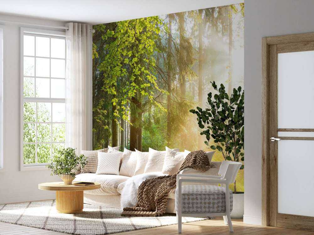 Skoglandskap på soluppgång