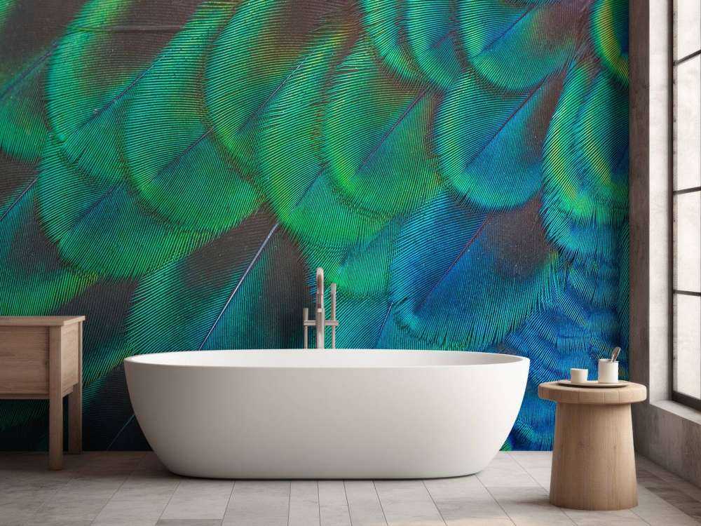 Närbild av påfågelfjädrar