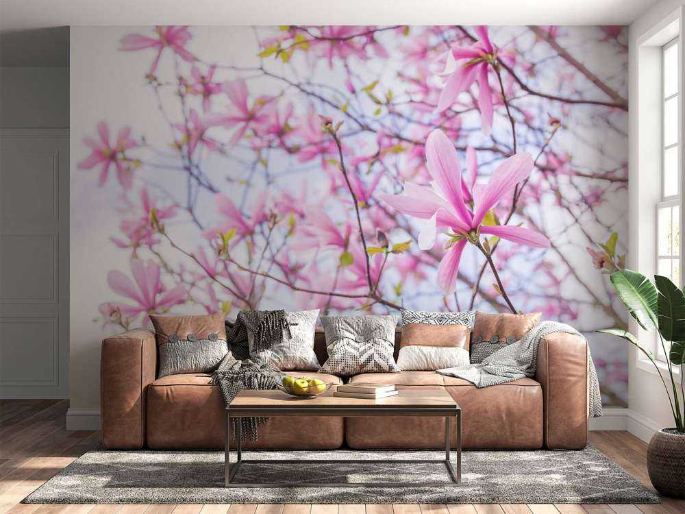 Magnolior