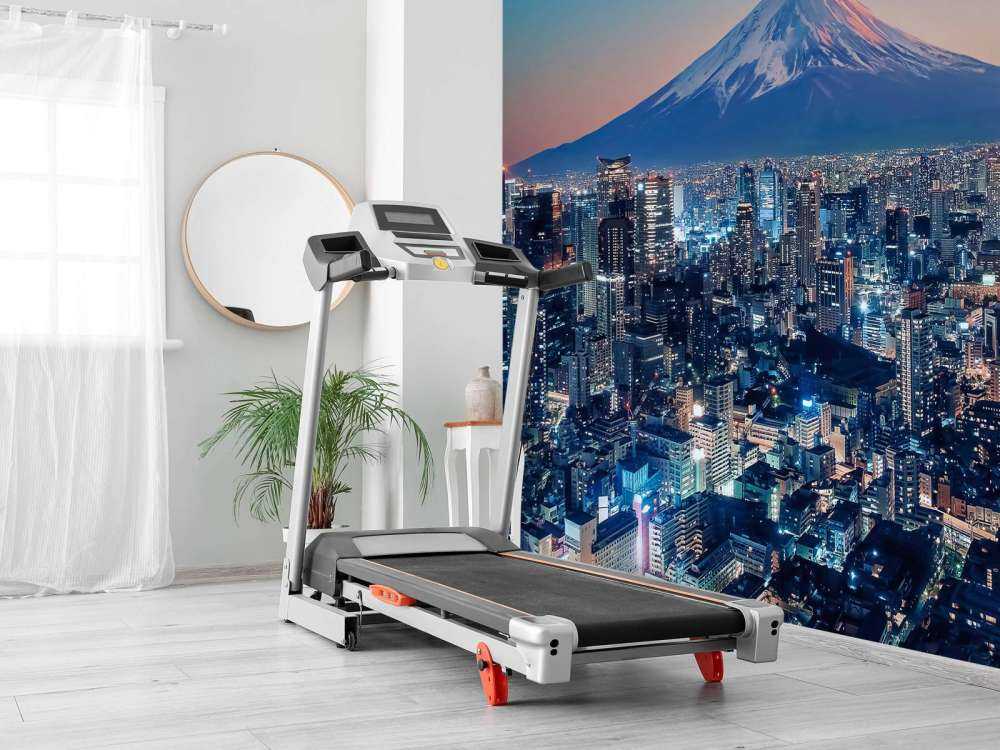 Tokyo i solnedgången