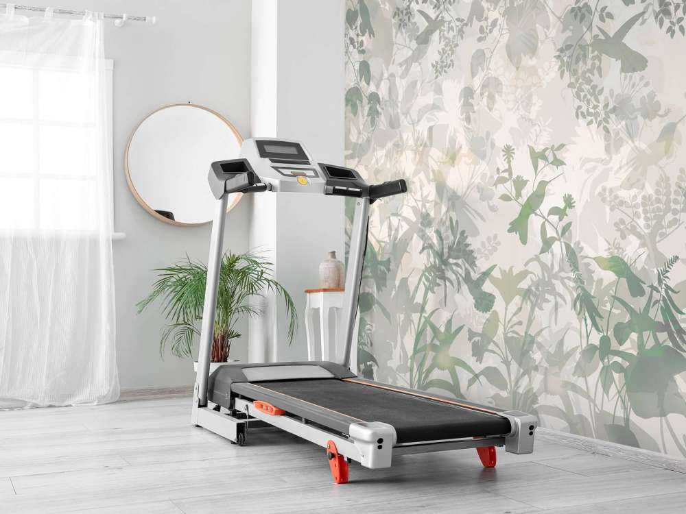 Trädgårdssymfoni i mörkgrön