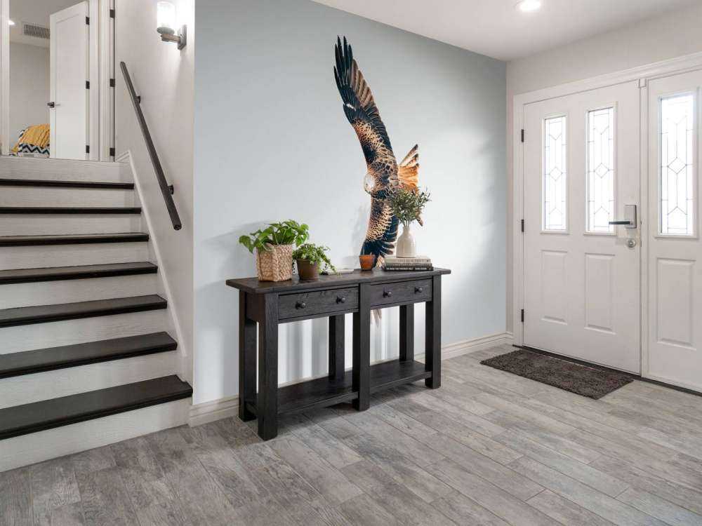 Röd drake med utbredda vingar