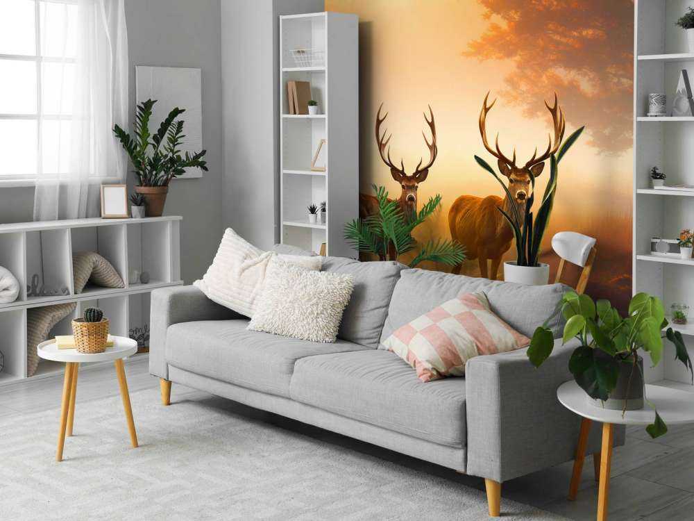 Morgonhärlighet Hjortprakt