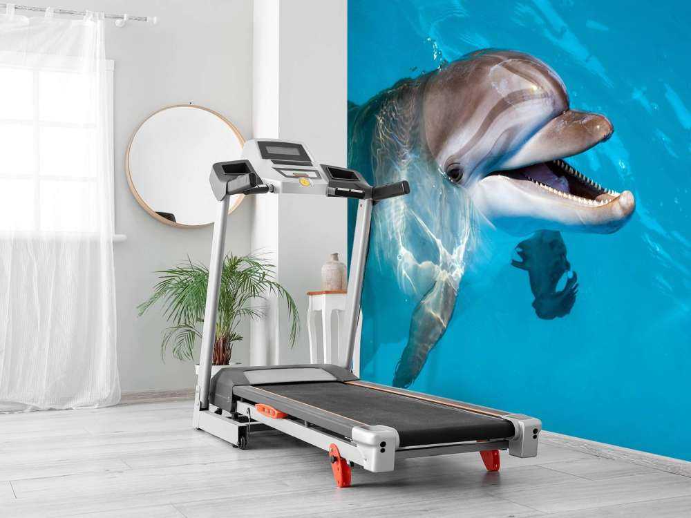 Vänlig delfin