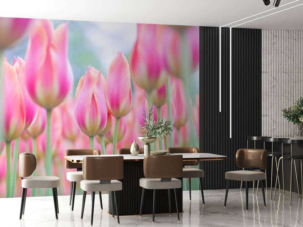 Närbild rosa tulpaner