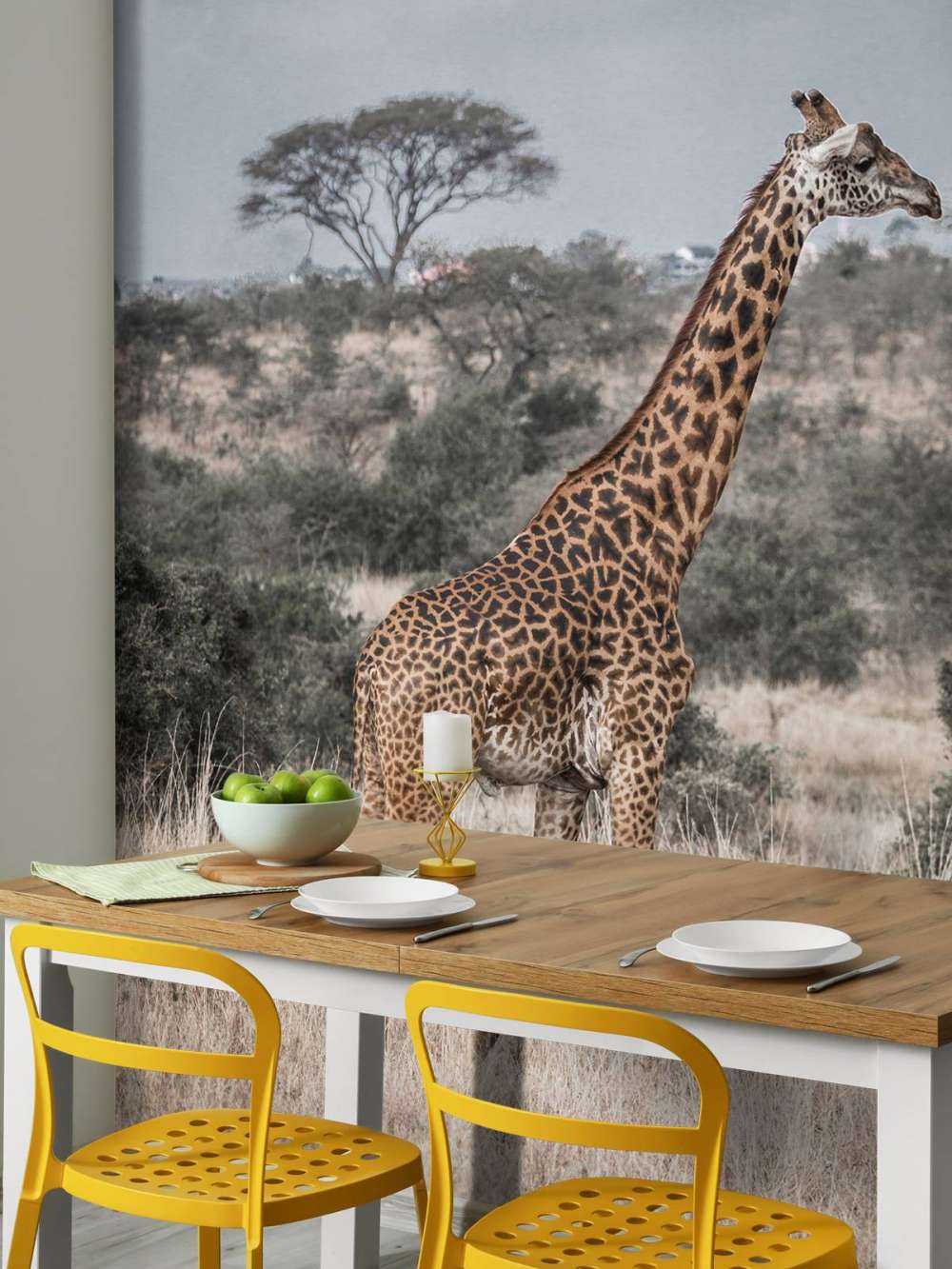 Giraff porträtt