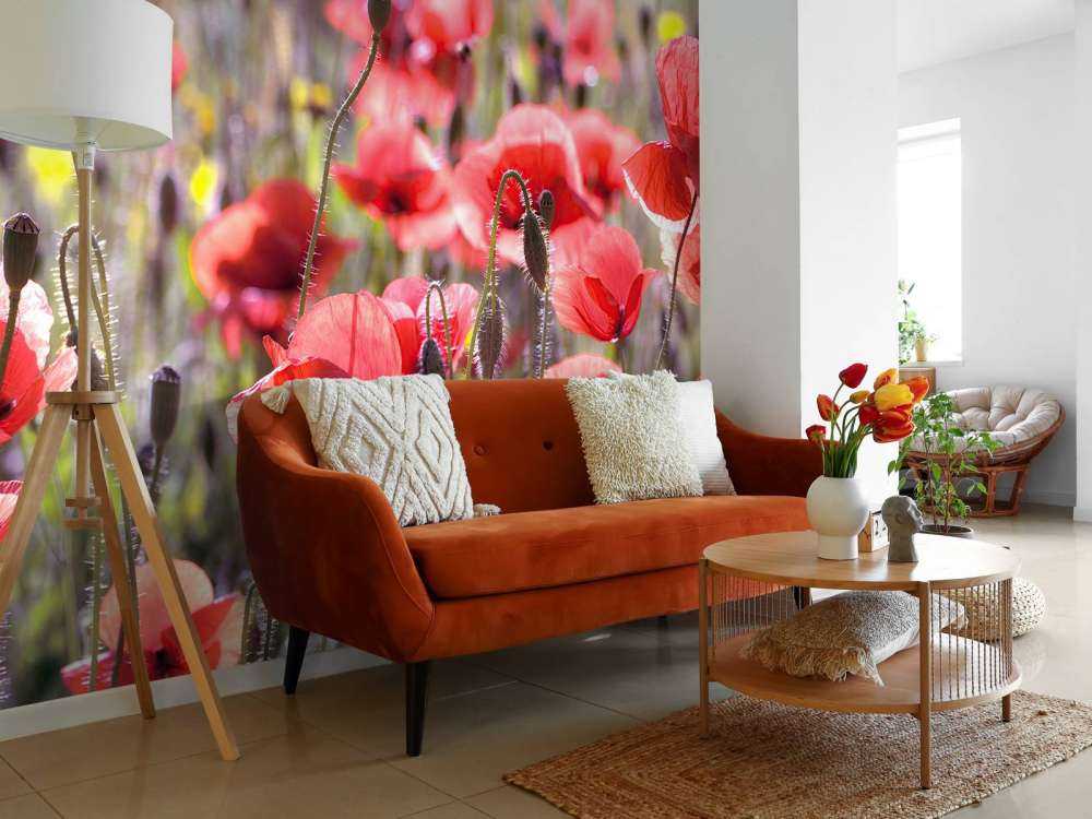 Vallmo med vintageutseende