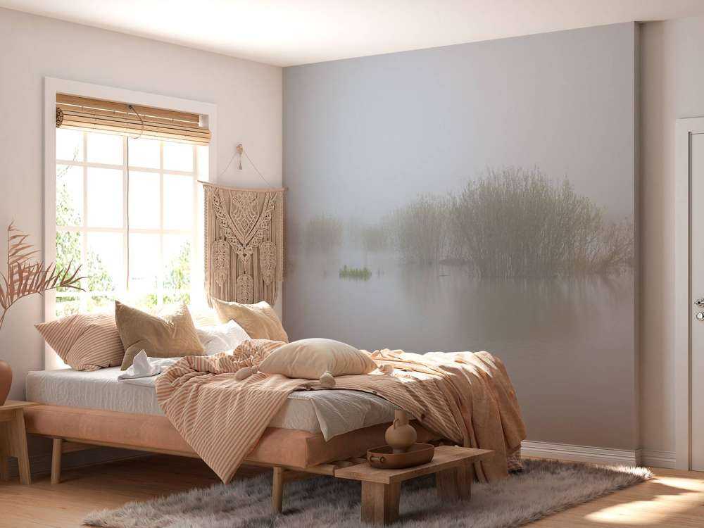 Dimma i naturreservat