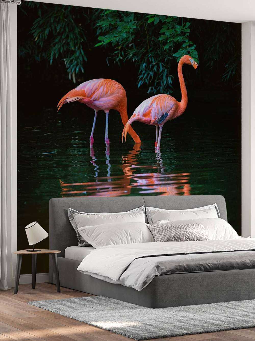 To bilibiske flamingoer