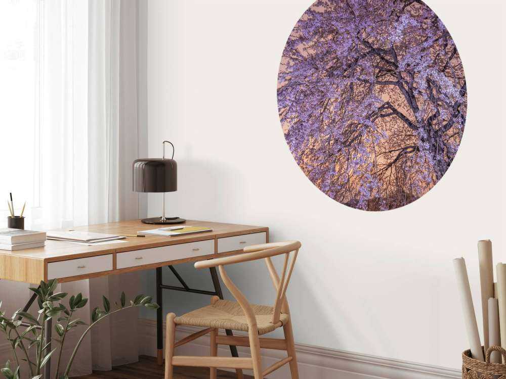 Blomstrer ved solnedgang