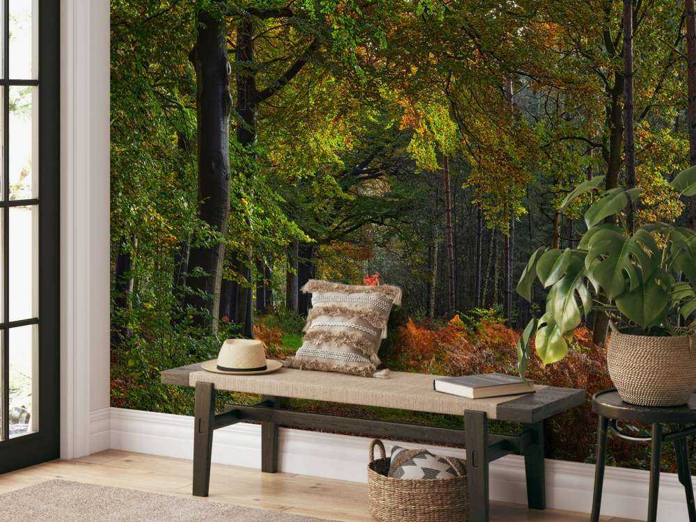 Sti med blade gennem skoven