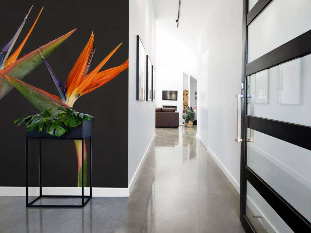 Paradisfuglens blomster