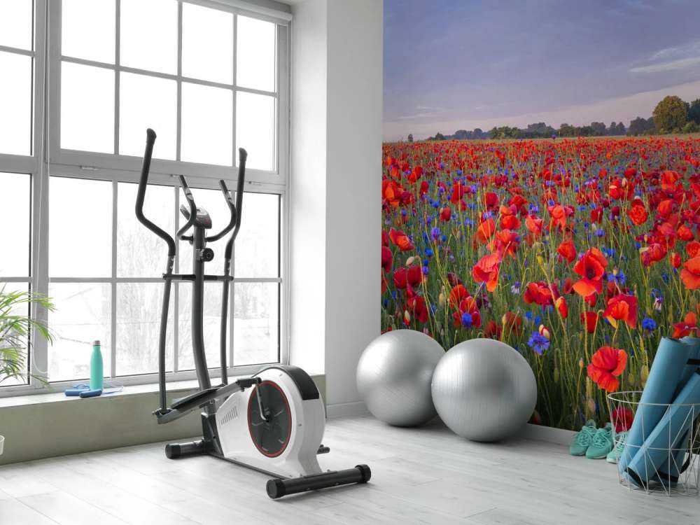 Blå blomster og røde valmuer