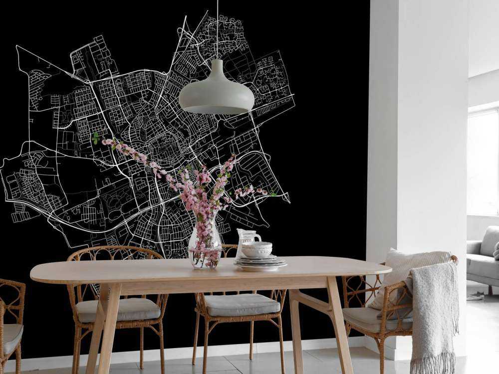 Kort over Groningen, sort