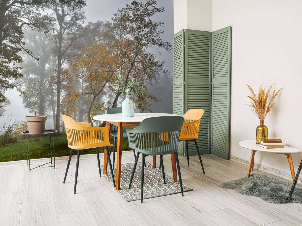 Græsmark med træer og tåge