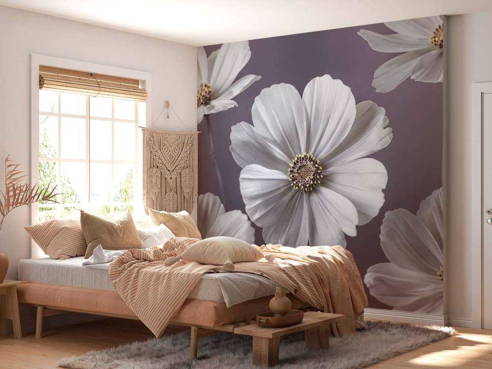 Cosmos blomster