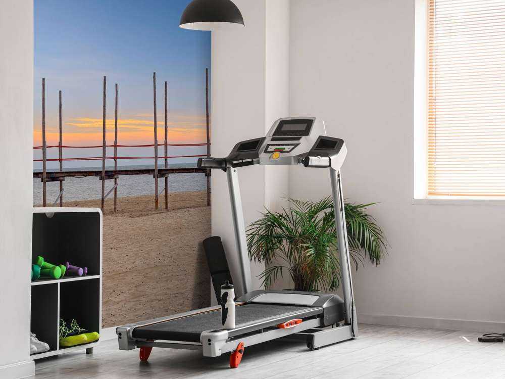 Lang mole med træpæle