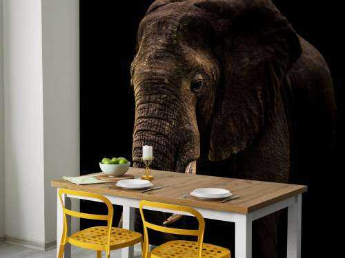 Elephant With Hummingbirds