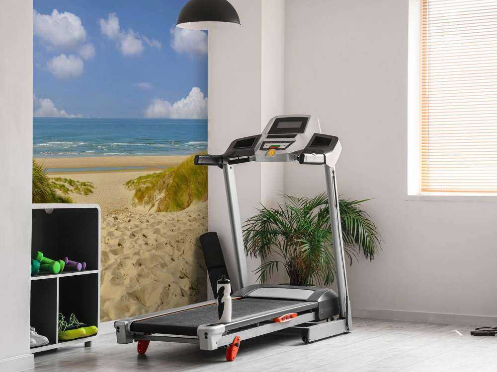 Indgang til stranden fra klitterne