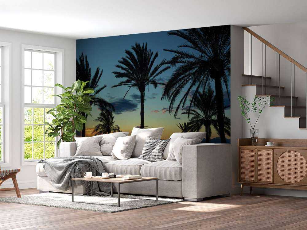 Palmer ved solnedgang