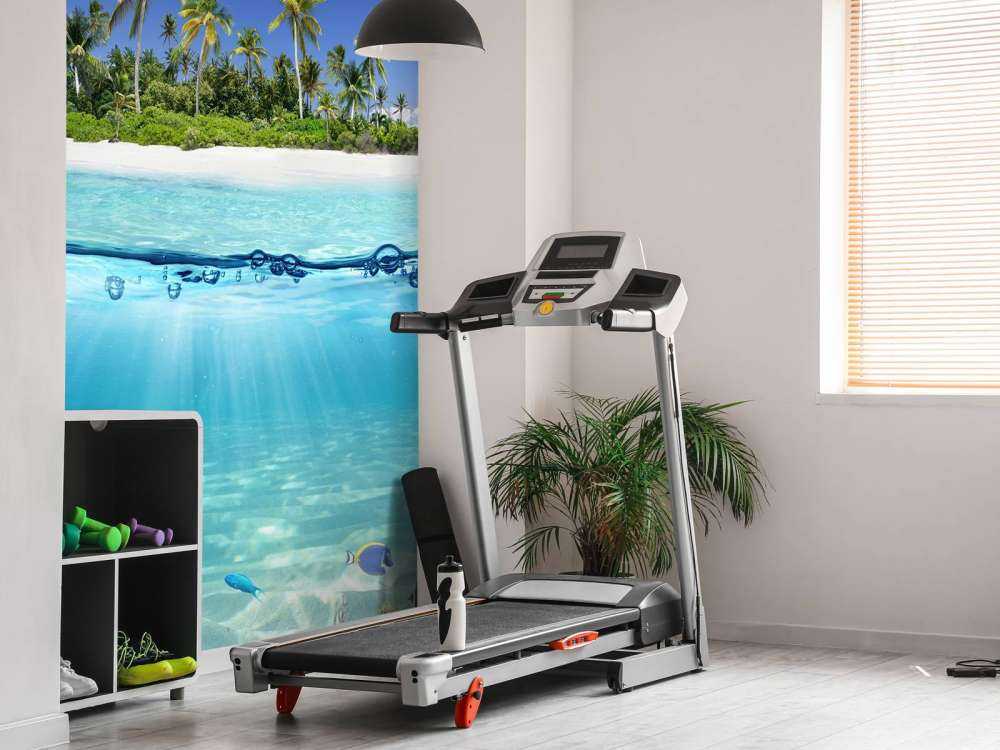 Tropisk ø og koralrev