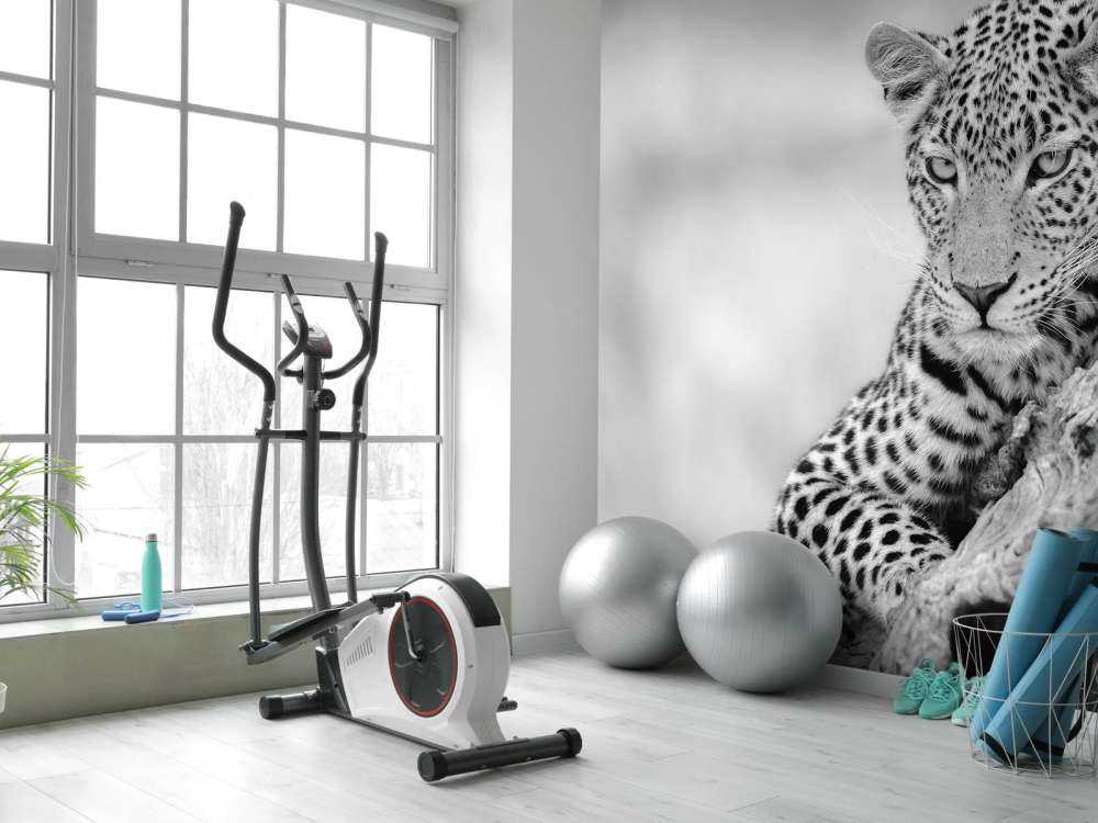 Leopard sort, hvid