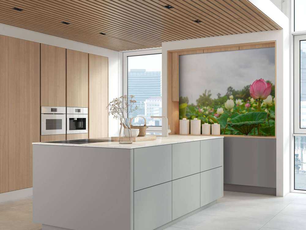 Lyserøde og hvide lotusblomster