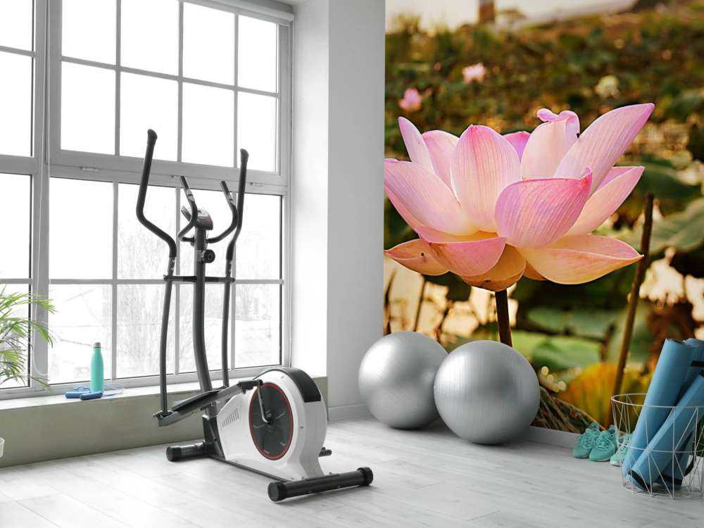 Lyserød lotusblomst