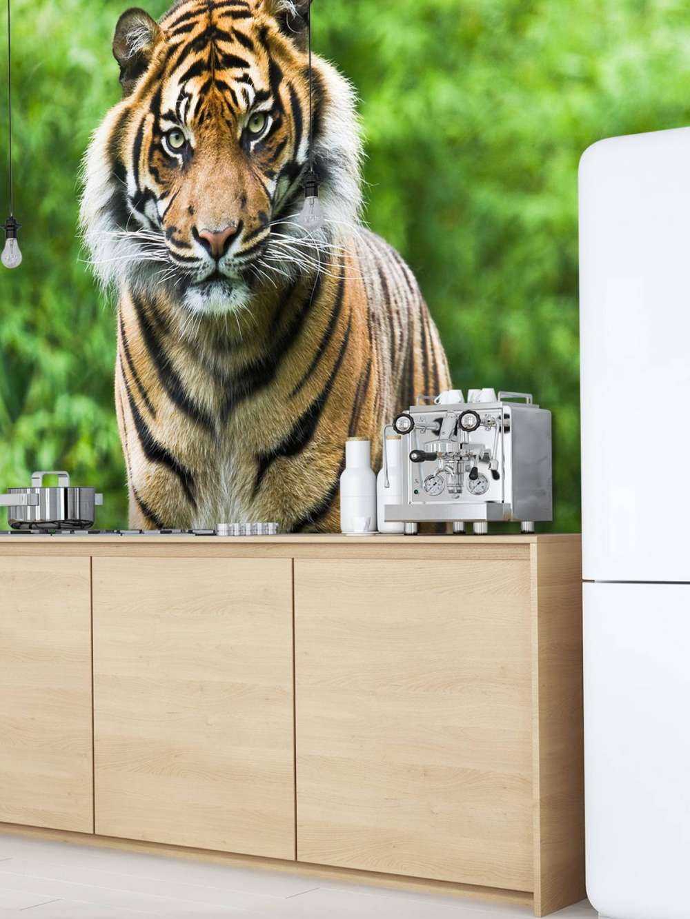 Tiger som står på en stein