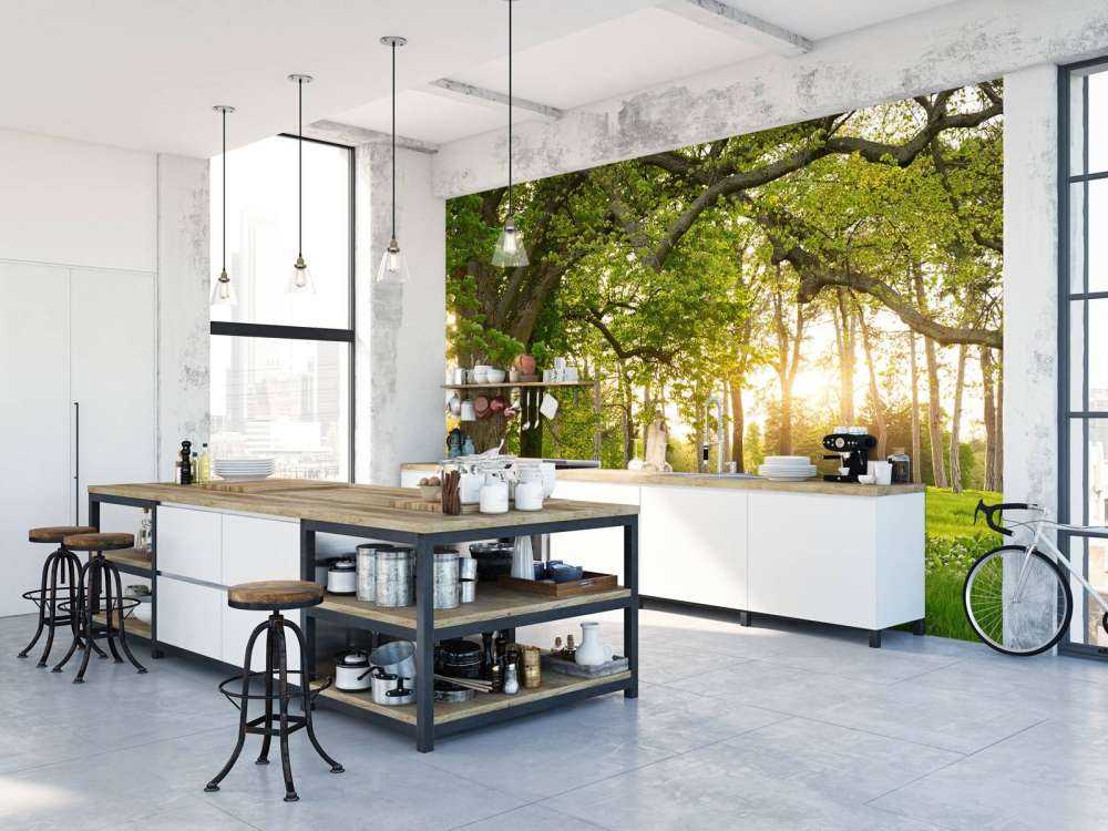 Åpen plass i skogen