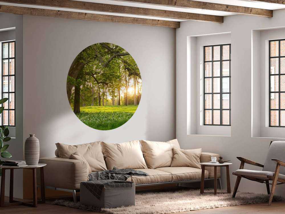 Åpen plass i skogen