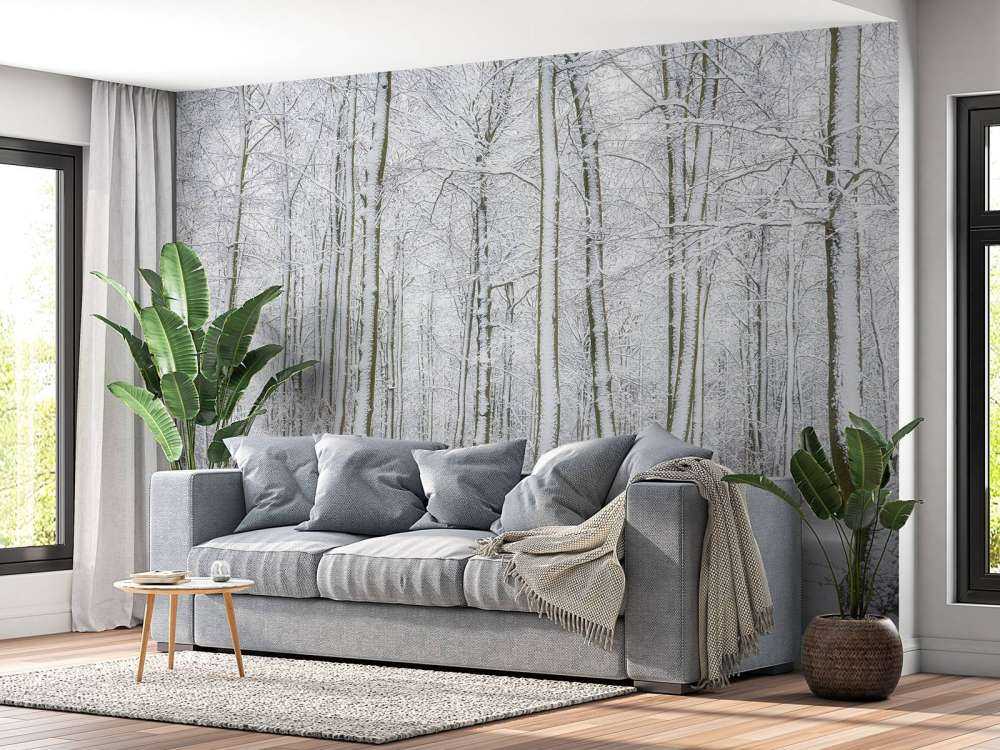 Skog med snø