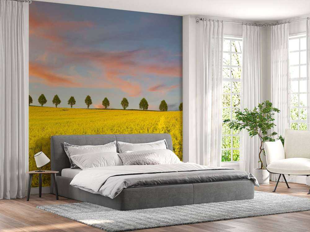 Åker full av gule blomster