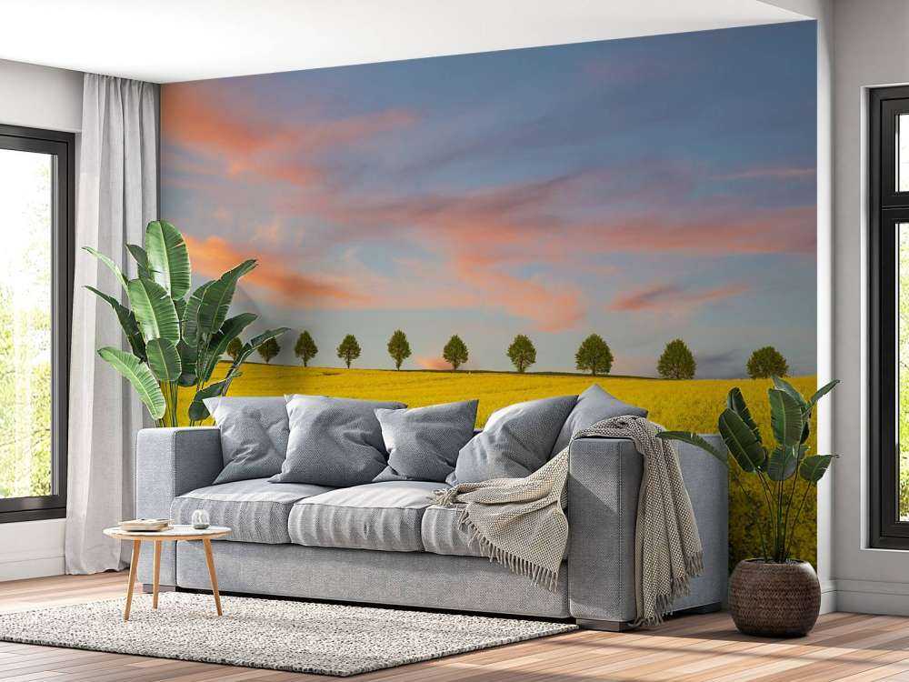 Åker full av gule blomster