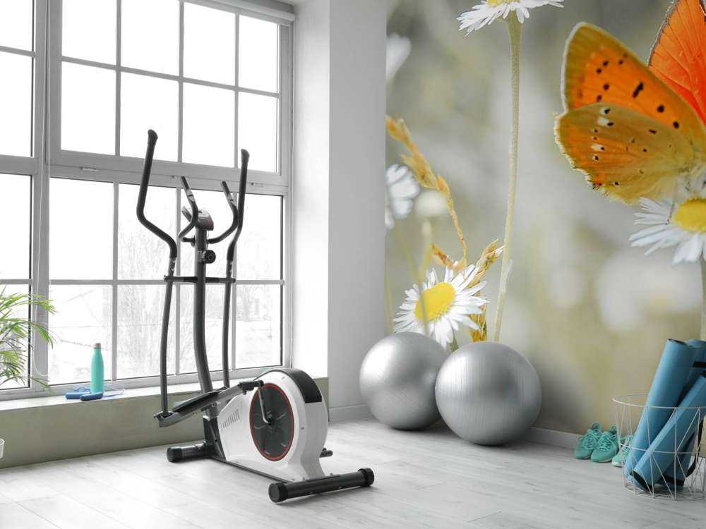 Tusenfryd og oransje sommerfugl