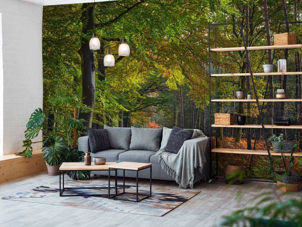 Sti med blader gjennom skogen