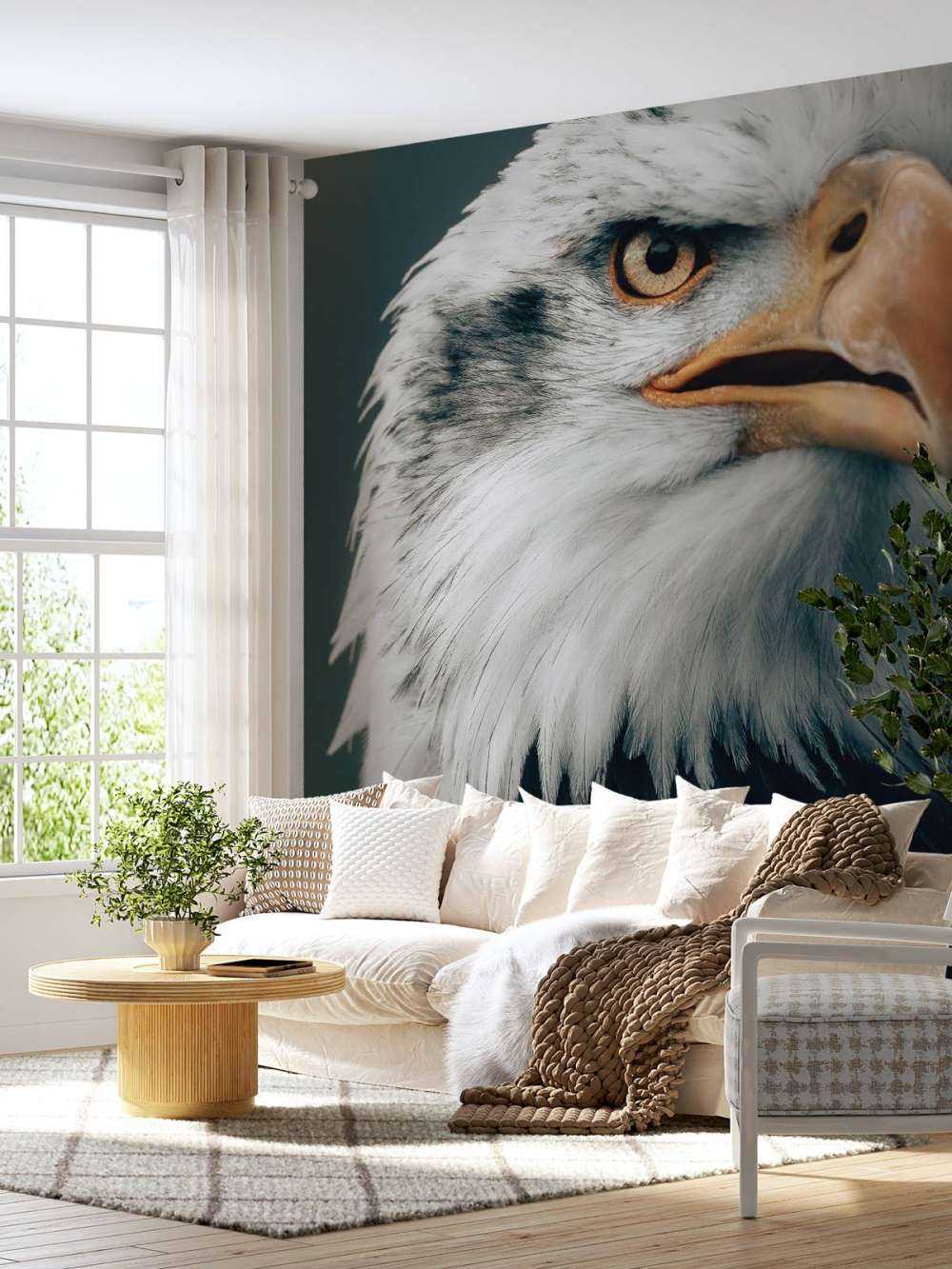 Stirrende Bald Eagle